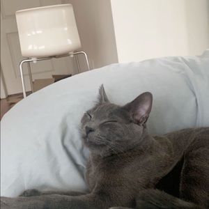 Meet your Posher, Jamie